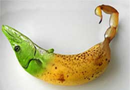 RA Ministry of Agriculture examines opportunities for American GMO giant Monsanto in Armenian market
