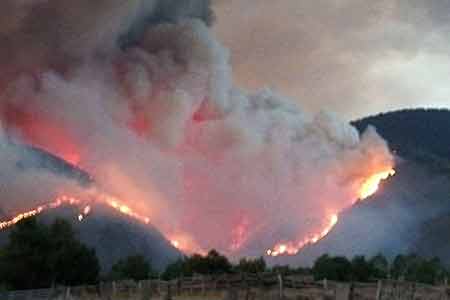 Armenia will help Georgia in fighting fire in Borjomi Gorge