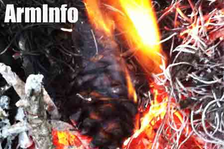 Dilijan tunnel closed to vehicles due to fire