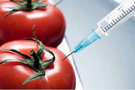 Американский ГМО гигант "Монсанто" реализует свою продукцию на армянском рынке с 2006 года: полномочные структуры Армении находятся в неведении