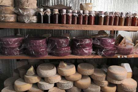 «Հարբած» պանիրներ. նոր ճյուղ հայկական բիզնեսում (Տեսանյութ)