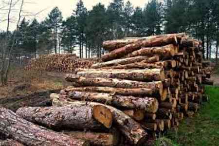  Environmental and state damage amounted to 8.8 bln AMD in 2024