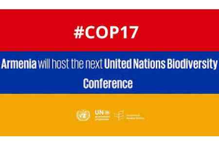 В Армении обсудили вопросы, связаннее с организацией COP-17