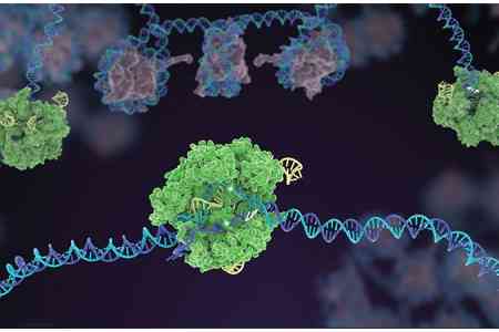 CRISPR-технологии: лечение наследственных заболеваний становится реальностью