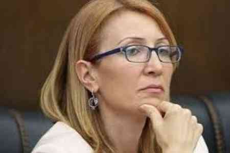 Политик: Армения отмечает Международный день защиты прав человека в условиях глубокого регресса