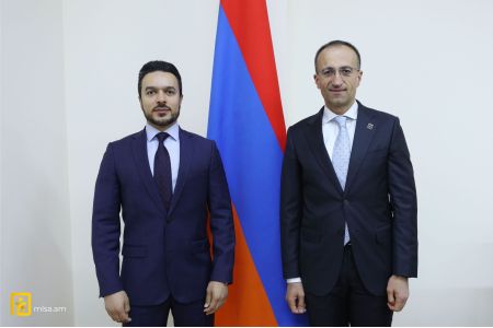 Qatar is considering assisting Armenia in implementing small group home model for individuals with disabilities