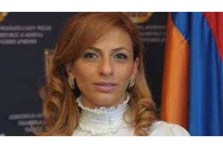 Փաստաբան․ 18-ամյա դպրոցականի դեմ գործը վարող մարմինը հայտարարել է նախաքննության ավարտի մասին