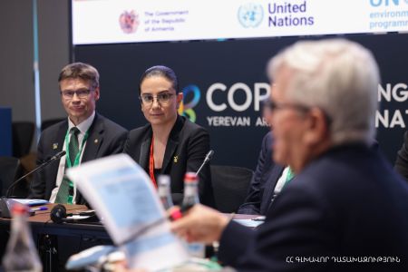 Հատուկ պահպանվող բնական տարածքները, այդ թվում՝ կանաչ գոտիները, չեն կարող մասնավոր սեփականության տակ լինել, ասում է գլխավոր դատախազը